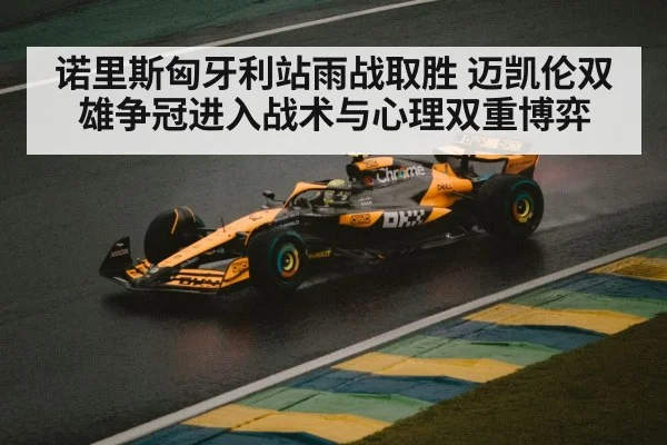 诺里斯匈牙利站雨战取胜 迈凯伦双雄争冠进入战术与心理双重博弈