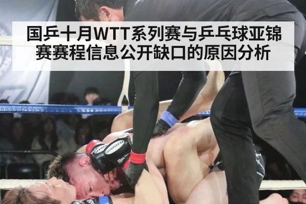 国乒十月WTT系列赛与乒乓球亚锦赛赛程信息公开缺口的原因分析